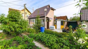 9272241 СОТ Дорожник