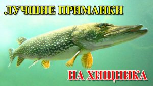 IZIK FISH ЛУЧШИЕ ПРИМАНКИ НА ХИЩНИКА 2025