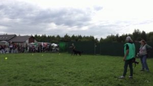 ПРК_Рейган Рей