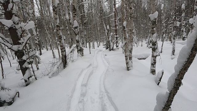 СНЕГОХОДЫ ХОМА 600SWT Yamaha Viking.ПРОБИВАЕМ ПУТИКИ.ТОНЕМ В КАНАВАХ.Январь 2025г.