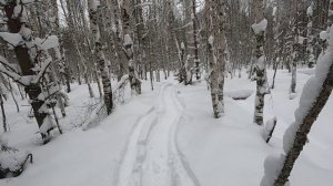 СНЕГОХОДЫ ХОМА 600SWT ,Yamaha Viking.ПРОБИВАЕМ ПУТИКИ.ТОНЕМ В КАНАВАХ.Январь 2025г.