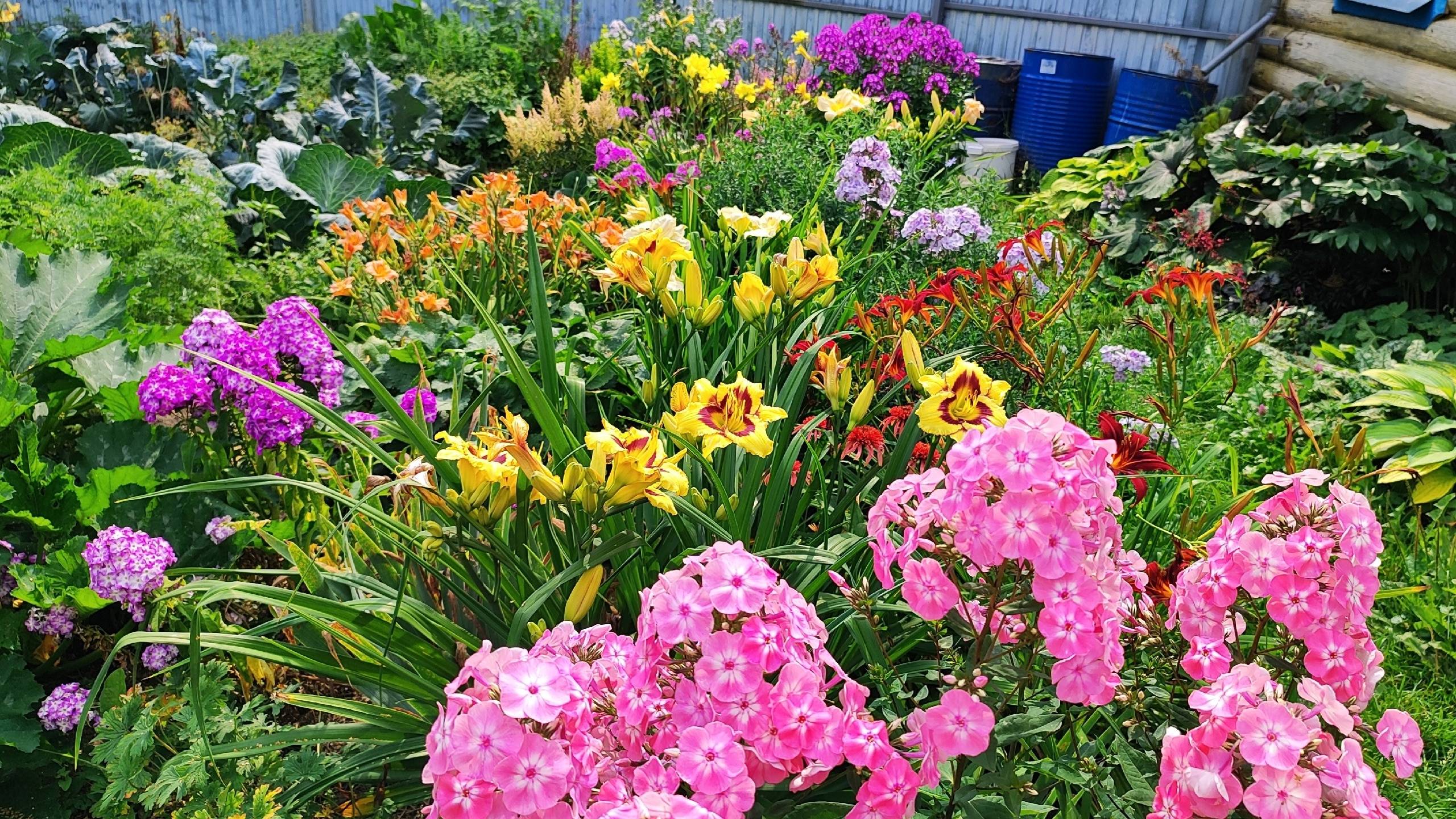 МИКСБОРДЕР (цветник) для солнца и полутени