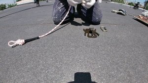 Букашка в работе. ПромАльп. Часть 1.