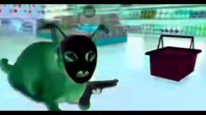 шлёпа ограбление пятёрочки