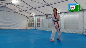 Аттестация! ЧЕРНЫЙ ПОЯС 2 ДАН (пум) Ходосова Анастасия