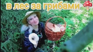 В лес за грибами.