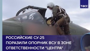 Российские Су-25 поразили опорник ВСУ в зоне ответственности "Центра"