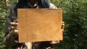 появилась фанера - похоронен лес