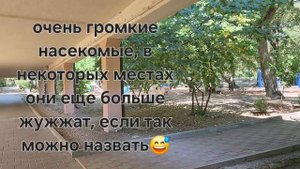 Детский санаторий имени Н.И. Пирогова