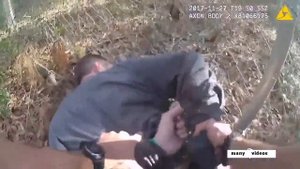 Задержание при помощи служебной собаки.