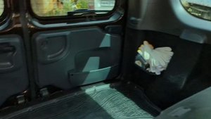 Lada Largus Cross 2021