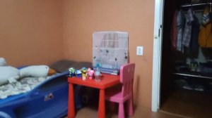 Оля мне нравится больше всего