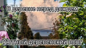 Уютная и спокойная жизнь в деревне, влог, счастливые деревенские будни, перед дождем, уютная рутина