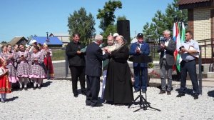"Герб и флаг Новоильмовского поселения"