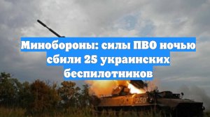Минобороны: силы ПВО ночью сбили 25 украинских беспилотников