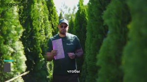 Работа современного питомника растений на примере Фиксарден