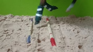 Тренировка на Долине