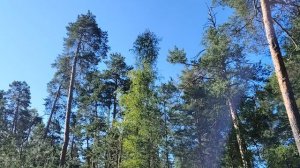 Работа ради работы!