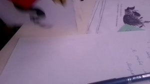 VID_20250812_144143.mp4