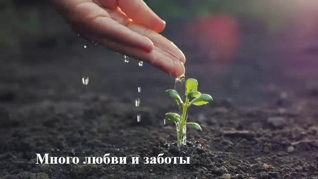 ЭРА Линейный светильник полного спектра FITO-9W-T5-Ra90 смотреть онлайн