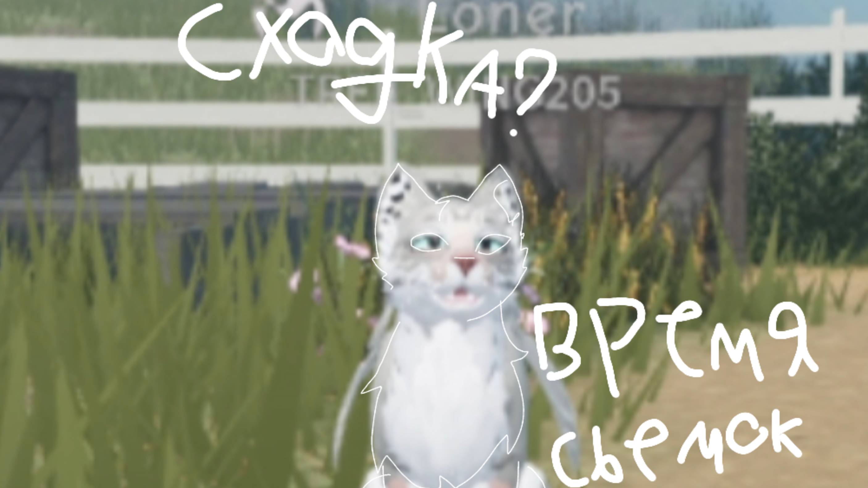 Время сьемки сериала? СХОДКА?!?