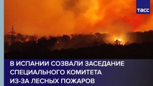 В Испании созвали заседание специального комитета из-за лесных пожаров
