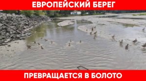 Река проходящая вдоль Европейского берега в Новосибирске превращается в болото