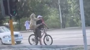 Курьеры в Москвабаде