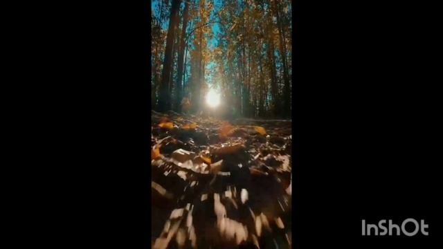 красивая музыка