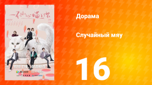 Случайный мяу 1 сезон 16 серия