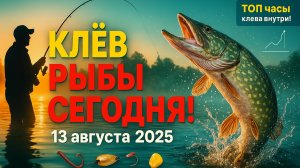 КЛЁВ РЫБЫ 13 августа 2025 — Лучшие часы и места! ТОП наживки, регионы, уловки для богатого улова 🎣