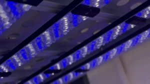 КлимБиоТех и Just Grow: лаборатории для микроклонального размножения - ФИЦ картофеля им. А.Г. Лорха