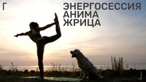 ДМД АНИМА ЖРИЦА