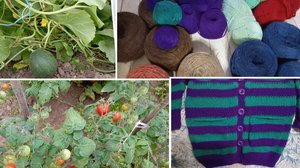 Дожди...дочка привезла пряжу . Пополнение запасов