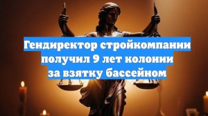 Гендиректор стройкомпании получил 9 лет колонии за взятку бассейном