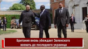 Британия вновь убеждает Зеленского воевать до последнего украинца