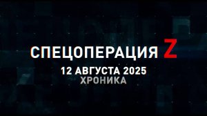 Спецоперация Z: хроника главных военных событий 12 августа