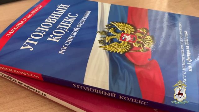 Подозреваемый в серии краж из автомобилей задержан нижегородскими полицейскими смотреть онлайн