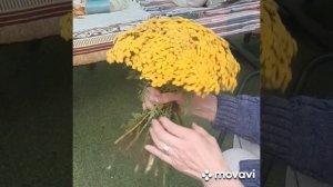 Травы для букета!!