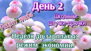 12-08-2025 Неделя до зарплаты: режим экономии.