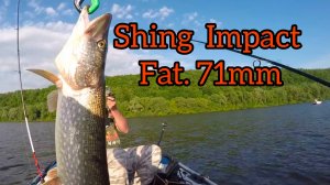 ПРИМАНКА и ЦВЕТ ПРИМАНКИ дали РЕЗУЛЬТАТ. Река ОКА .