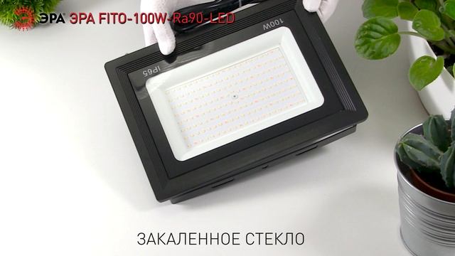 Фитопрожектор для растений светодиодный ЭРА FITO-100W-Ra90-LED для цветения полного спектра смотреть онлайн