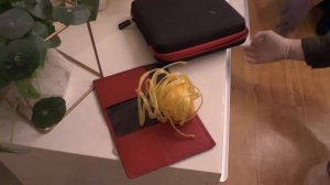 Питерские полицейские задержали иностранцев за похищение и разбой