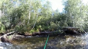 Новый фильм. В поисках хариуса 10.08.2025. Утро на горной речке в Бурятии.