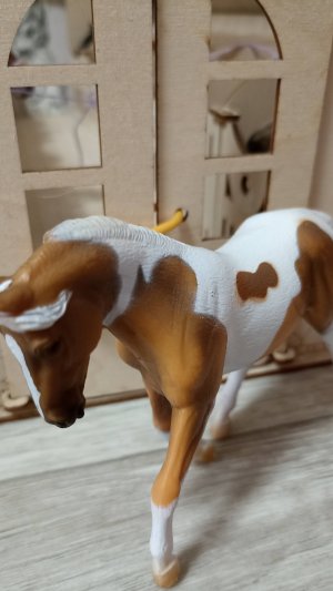 Треш тренировка