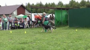 ПРК_Фиелисс Явенга