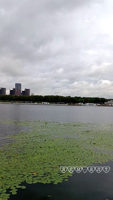 Музей истории ВМФ, Подводная лодка Б-396 Новосибирский комсомолец. Москва 07.08.2025 (12:50)