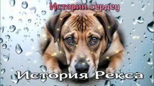 История Рекса / Аудиокниги