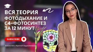 Фотодыхание и С4-фотосинтез за 12 минут | Биология с Ириной Евдокимовой