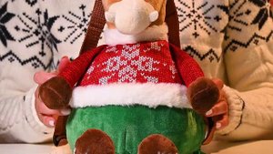 073 Рюкзак Ирбис